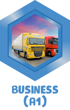 Business (A1)