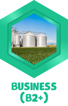Business (B2+)