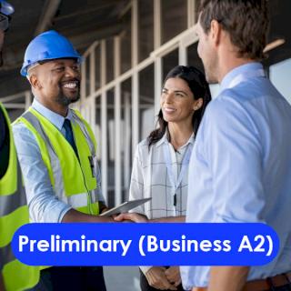 Preliminary (Business A2)
