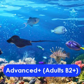 Advanced Plus (Adults B2+)