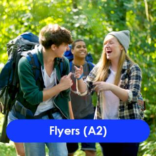 Flyers (A2)