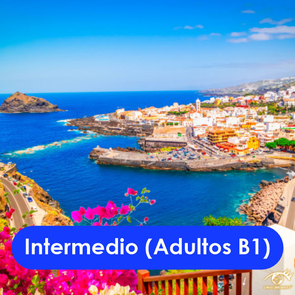 Intermedio (Adultos B1)
